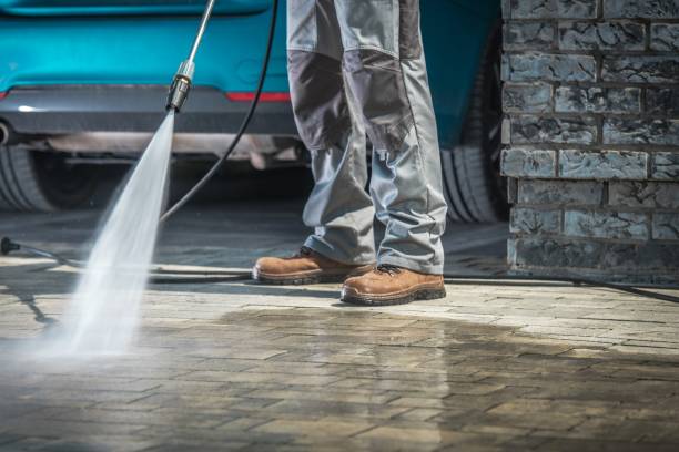 Best Gutter Cleaning  in New Port Richey East, FL